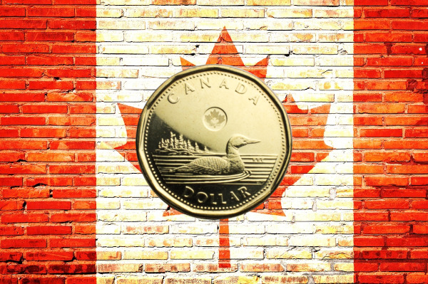 The Canadian Loonie: A Symbol of Canadian Identity and a Valuable Collectible Coin